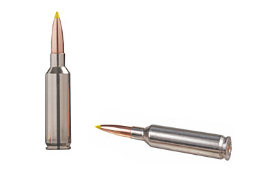 Winchester Ammunition Ballistic Silvertip 6.8 Western 170-Grain Ballistic Tip Ammo - Pack of 20