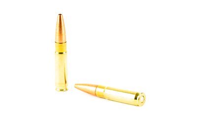 Lehigh Defense Controlled Chaos 300 Blackout 115-Grain Flat Base Hollow Point Ammunition (20 Rounds per Box, 200 per Case)
