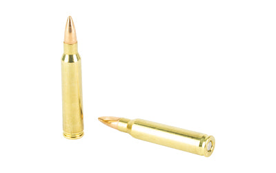 STV Technology Patriot .223 Remington 55 Grain FMJ Ammunition - 20 Rounds
