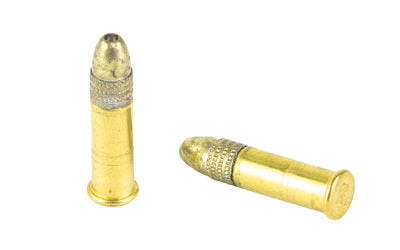 Remington Golden Hunter .22 LR Hollow Point Ammunition - 42 Grain, 550 Rounds