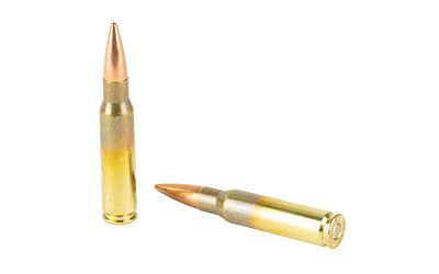 AMMOIN Ammo Inc 308 Win 168-Grain OTM Personal Defense Rounds - 20 Rounds of 200