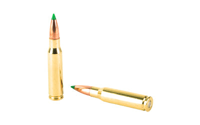 Nosler 308 Winchester 150 Grain Ballistic Tip Ammunition * Reliable Hunting Rounds for Deer and Hog Hunting