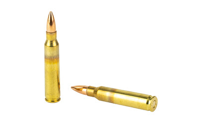 Sterling 5.56 NATO M193 Full Metal Jacket Ammunition * 55 Grain, 30 Rounds Per Box