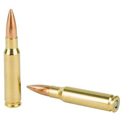Federal Gold Medal .308 Winchester 168 Grain Boat Tail Hollow Point Match Ammunition (20 Rounds)