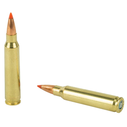 Federal Varmint & Predator 223 Remington 53 Grain V-Max Ammunition - Reliable Precision for Varminters and Predators