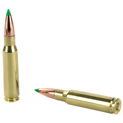 Nosler Ballistic Tip Hunting Ammunition for 308 Winchester, 165 Grain, 20 Rounds Per Box
