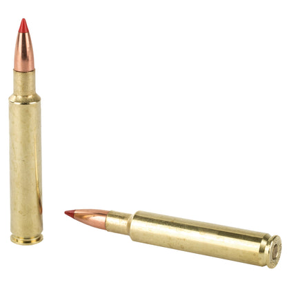 Nosler 280 Ackley Improved Ballistic Tip Hunting Bullets, 140 Grain, Box of 20