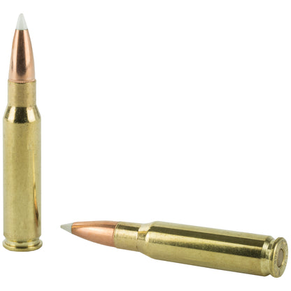 Nosler Trophy Grade 308 Winchester 150-Grain AccuBond Ammunition, 20-Round Box
