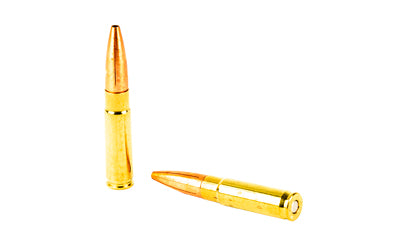 Lehigh Defense Maximum Expansion 300 Blackout 194-Grain Boat Tail Hollow Point Ammunition (20 Rounds per Box)