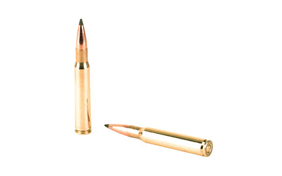 Remington Speer Impact 30-06 Springfield 172-Grain Polymer Tip Ammunition (20 Rounds per Box)