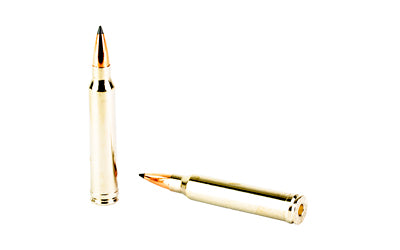 Winchester Ammunition Expedition Big Game Long Range .300 Winchester Magnum 190-Grain AccuBond Bullet - 20 Rounds per Box