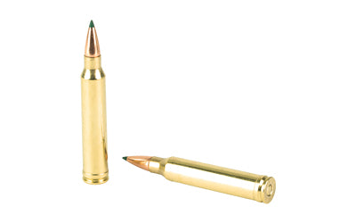Remington Premier CuT Copper Bullet for 300 Winchester Magnum - 180 Grain, Box of 20